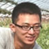 铁树