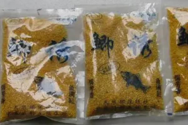 钓草鱼饵料有哪些，自然饵、商品饵和自制饵都适用