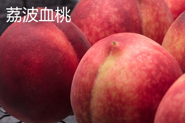 血桃的价格，一斤需要1-5元左右