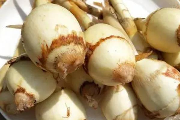 水八仙分别是什么,包括茭白、莲藕、水芹、荸荠等种类