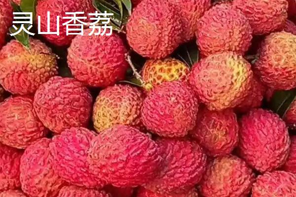 灵山荔枝王荔枝的价格，大多在6元左右一斤