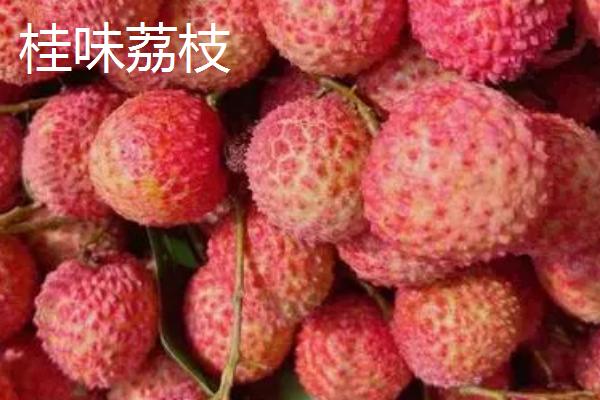 灵山荔枝王荔枝的价格，大多在6元左右一斤
