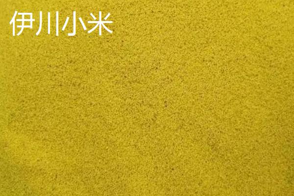 河南伊川县的特产，杜康酒驰名世界