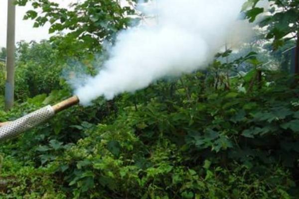 苯醚甲环唑的防治对象，可防治棉花立枯病、大白菜黑斑病等病害