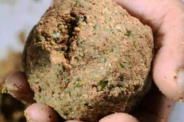 大板鲫喜欢哪种味型的饵料，春季喜欢腥饵、夏季喜欢清淡饵料