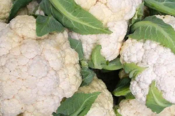 花菜的价格，一斤需要1-2.5元左右
