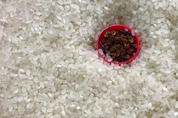 大米不耐储存的原因，失去外壳的保护后容易生虫、发霉