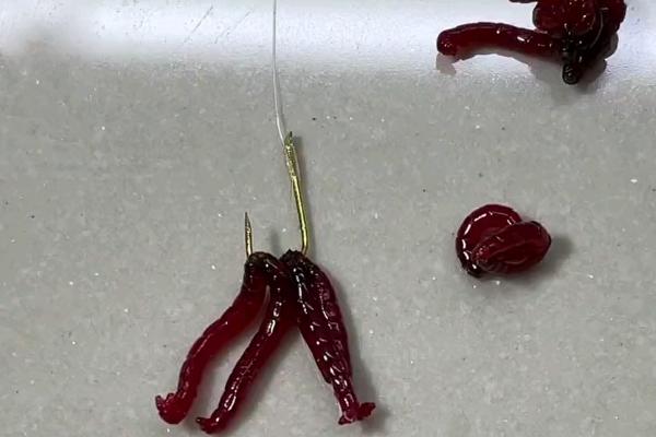 红虫钓鱼怎么挂钩方便，常用单挂法、多挂法和气门芯法