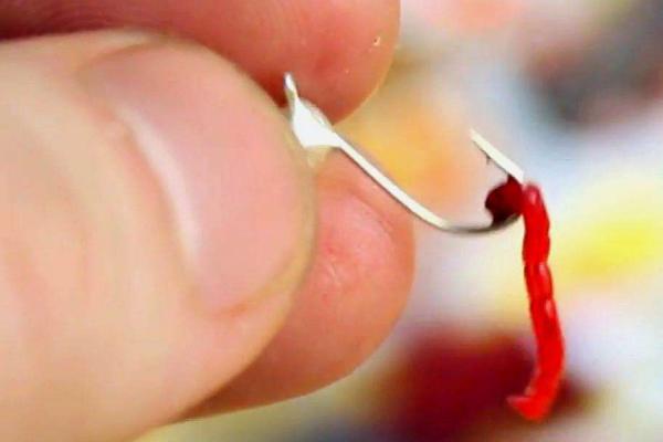 红虫钓鱼怎么挂钩方便，常用单挂法、多挂法和气门芯法