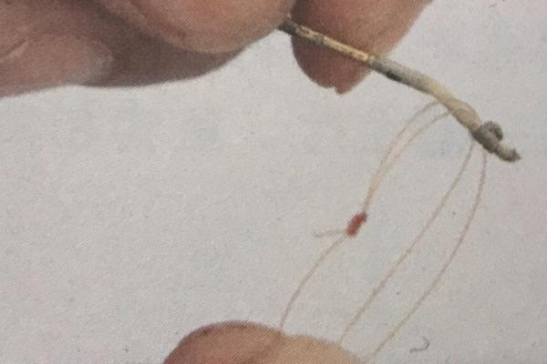 传统钓线组有几种，常用这6种