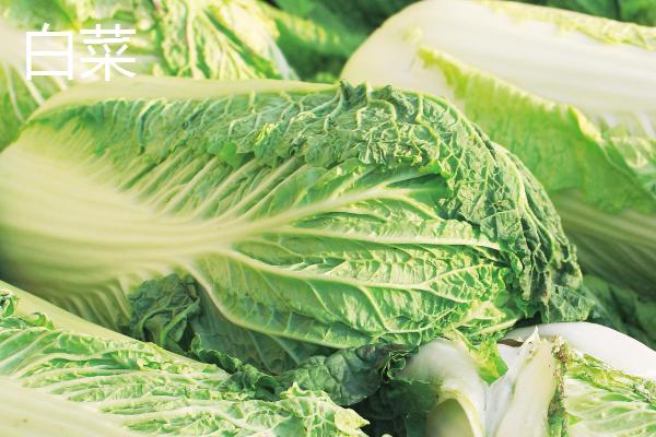 白菜和娃娃菜的区别，菜根、颜色和口感均不同