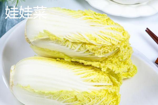 白菜和娃娃菜的区别，菜根、颜色和口感均不同