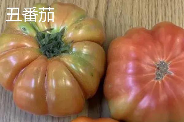 好吃的西红柿有哪些品种，浙粉202、粉皇后、加林娜等品种的口感较好
