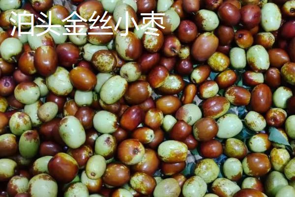 河北省张家口市万全区的特产，包括万全绿豆饹馇、万全燕麦等种类