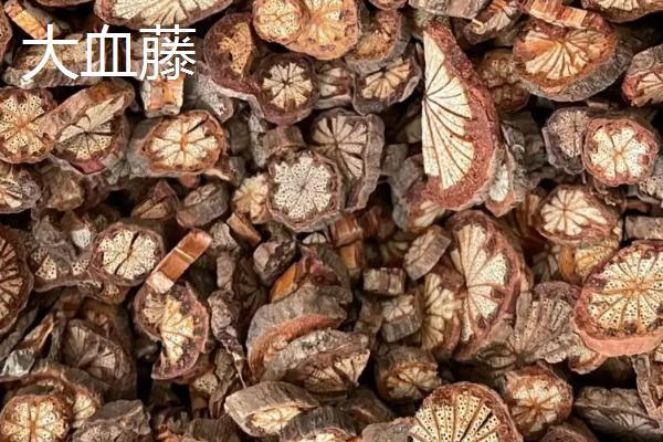 鸡血藤和大血藤有什么区别，鸡血藤茎干呈椭圆形、大血藤茎干呈圆柱形