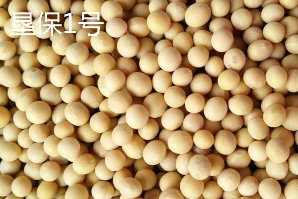 一吨大豆能榨出多少豆油，一般可榨出0.16-0.18吨豆油