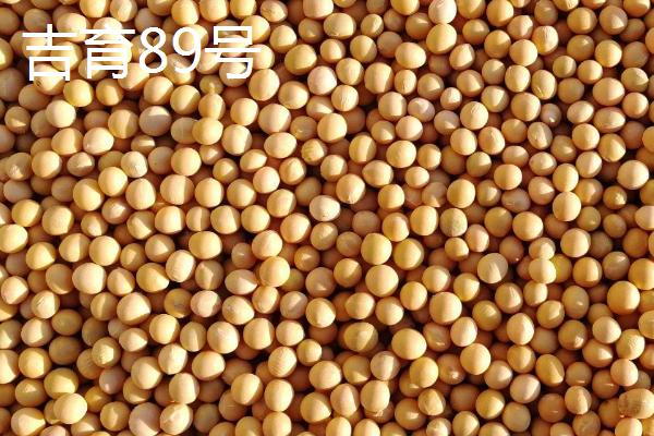一吨大豆能榨出多少豆油，一般可榨出0.16-0.18吨豆油