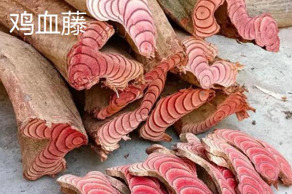 鸡血藤和大血藤有什么区别，鸡血藤茎干呈椭圆形、大血藤茎干呈圆柱形