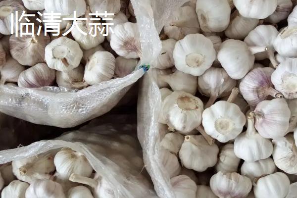 山东省肥城市的特产，肥城桃具有群桃之冠的美誉