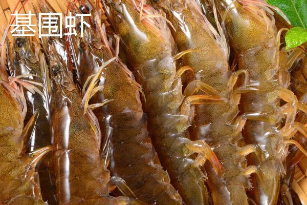 九节虾的价格，各地区的价格差异较大
