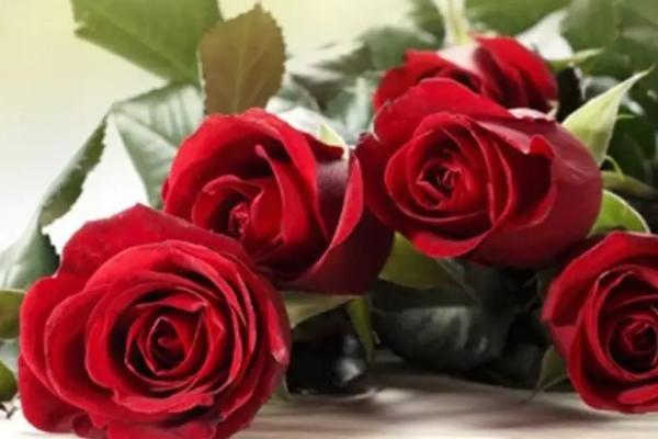 玫瑰花怎么处理不浪费，做成花茶、标本、干花都可以