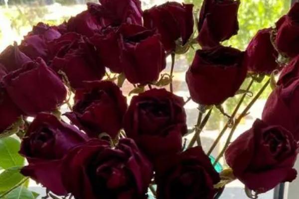 玫瑰花怎么处理不浪费，做成花茶、标本、干花都可以