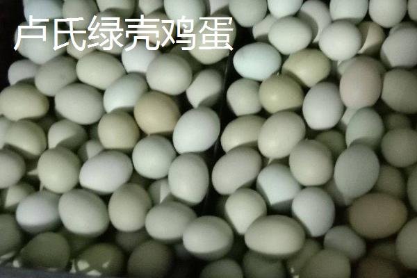 河南省卢氏县的特产，卢氏黑木耳是当地的传统优势品种