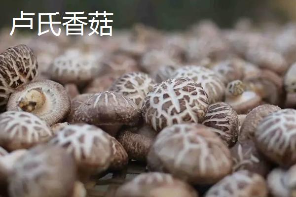 河南省卢氏县的特产，卢氏黑木耳是当地的传统优势品种