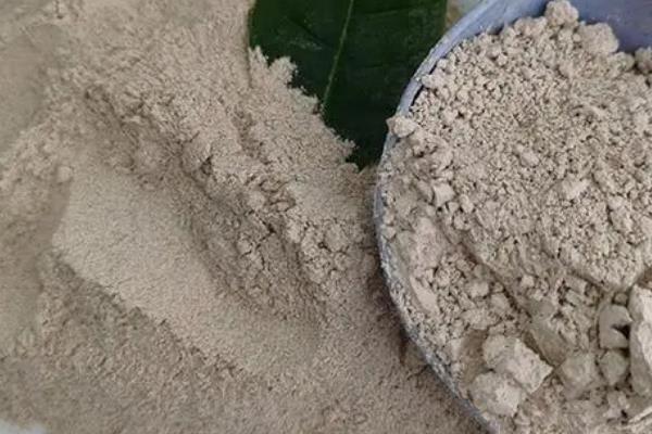 哪种植物有特殊本领，常见的有烛台树、捕人藤等