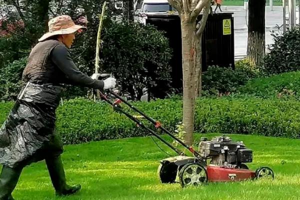 绿化养护包括哪些方面，包括浇水、施肥、修剪和除草