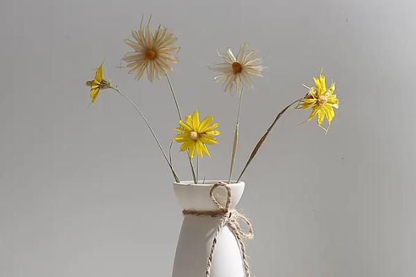 干花花瓶里要放水吗，干花花瓶里不可放水
