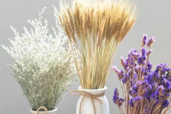 干花花瓶里要放水吗，干花花瓶里不可放水