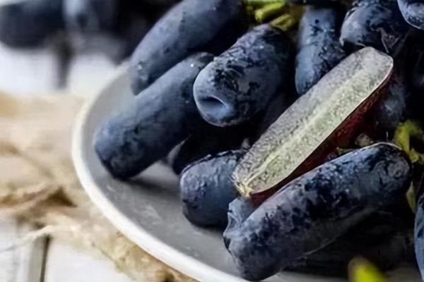 蓝宝石葡萄的优缺点，生长期短但不可采取密集的种植方法