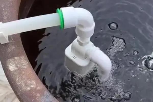 怎么在家里水缸里养泥鳅，使用井水或者湖泊水为佳