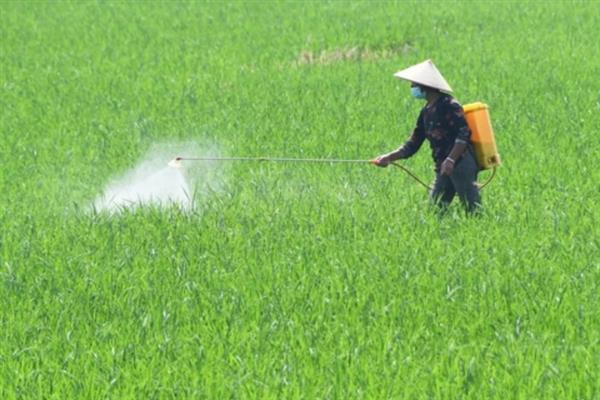 种植谷子怎么搭配肥料，氮磷钾的比例为2：1：2