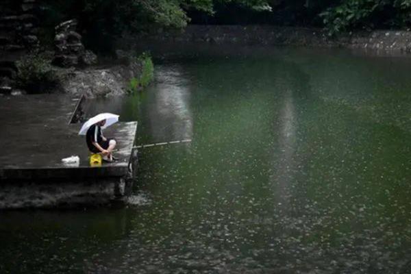 大风天气鱼在深水还是浅水，鱼儿会进入到深水中