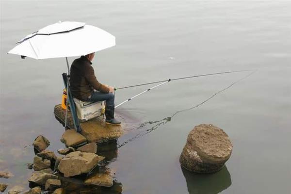 大风天气鱼在深水还是浅水，鱼儿会进入到深水中