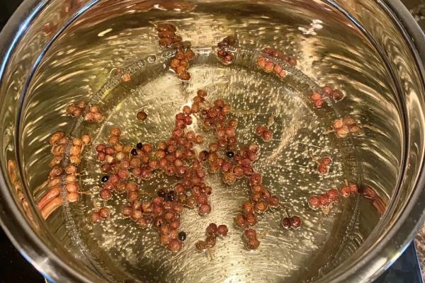 多肉植物介壳虫防治土方法，可以用蒜头、香烟头或风油精等