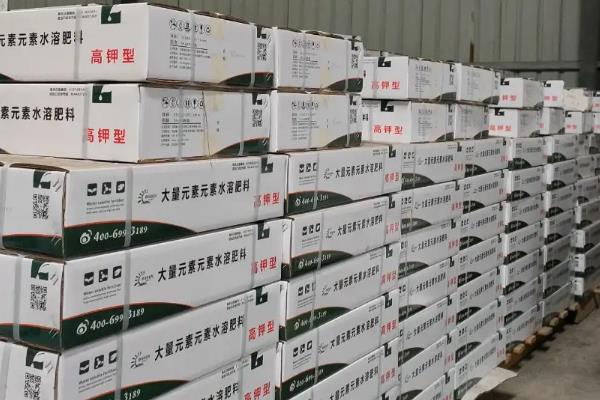 粉黛乱子草的种植方法，可以每隔3-5天给植株浇水一次